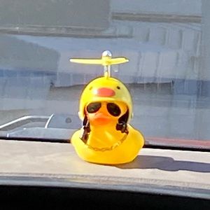 Meet your Posher, Shelby